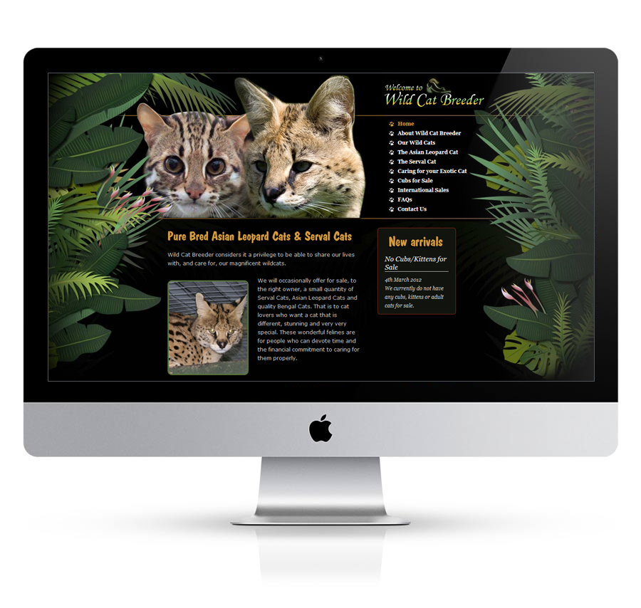 Wild Cat Breeder